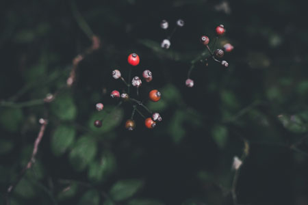 images/2.jpg?x-oss-process=image/resize,m_mfit,h_202,w_360/format,webp
