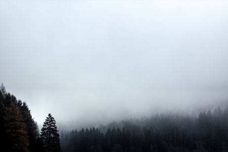 images/3.jpg?x-oss-process=image/resize,m_mfit,h_442,w_750/format,webp